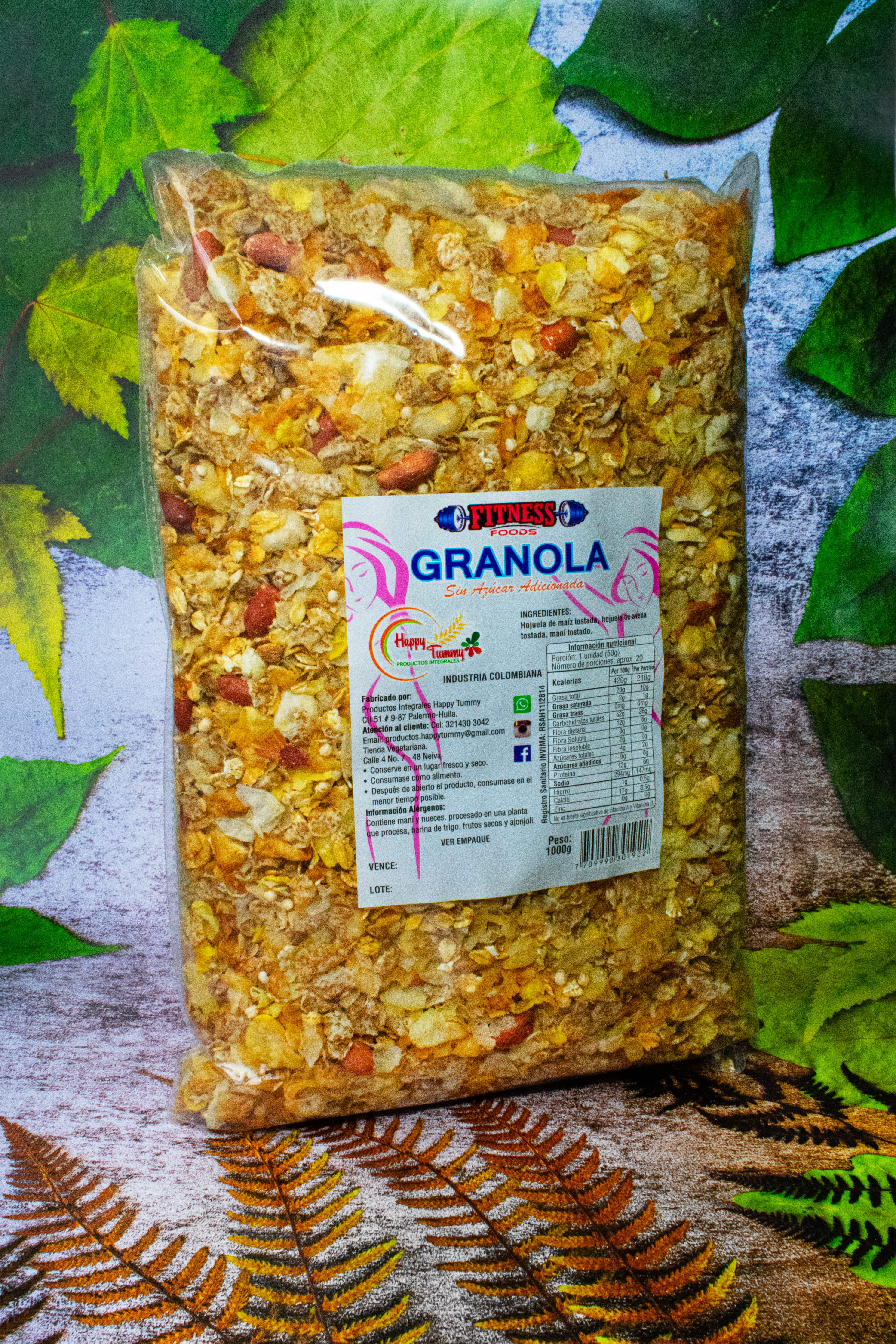 Granola sin dulce